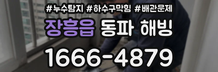 장흥읍 동파 해빙