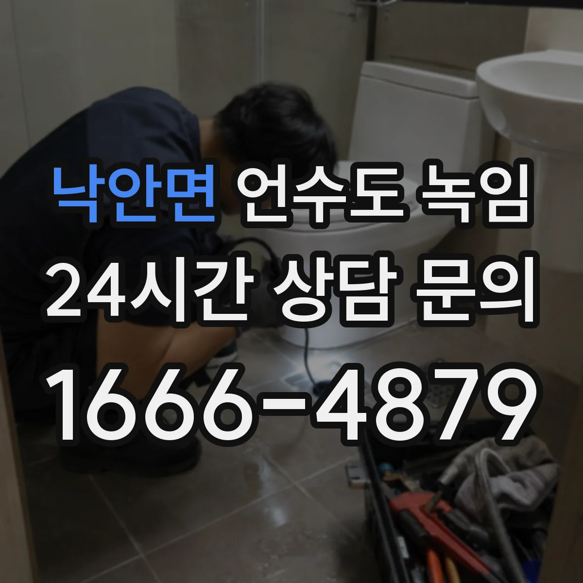 낙안면 언수도 녹임