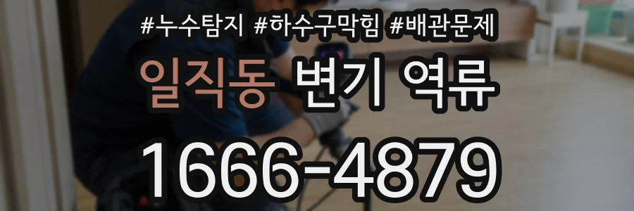 일직동 변기 역류