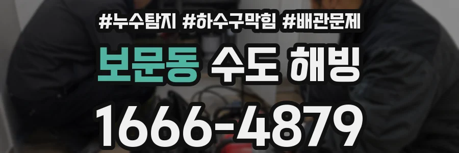 보문동 수도 해빙