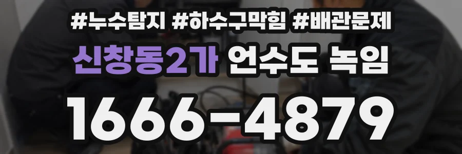 신창동2가 언수도 녹임