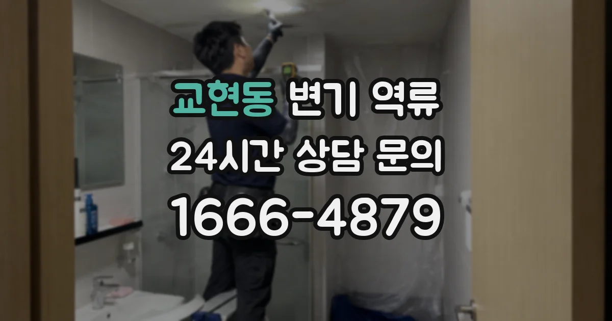 교현동 변기 역류