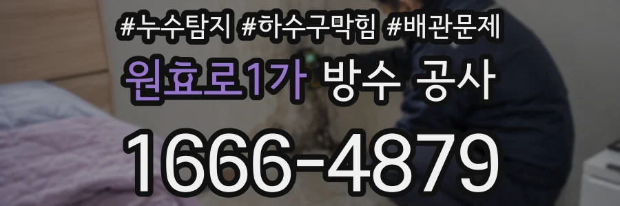 원효로1가 방수 공사