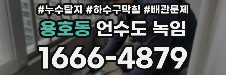 용호동 언수도 녹임