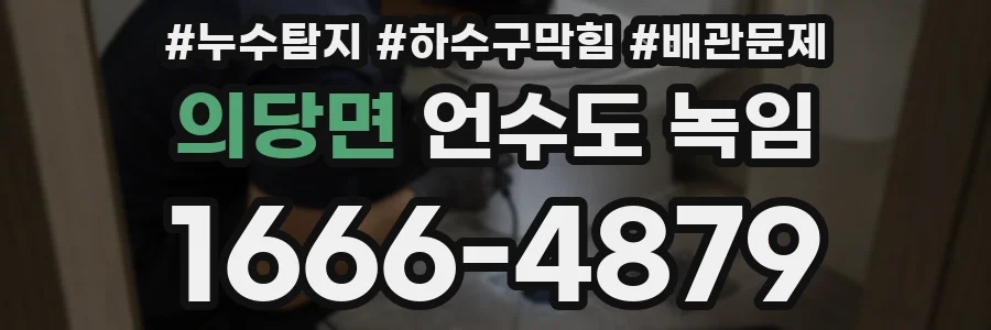 의당면 언수도 녹임
