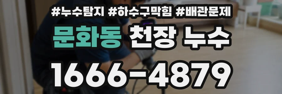 문화동 천장 누수