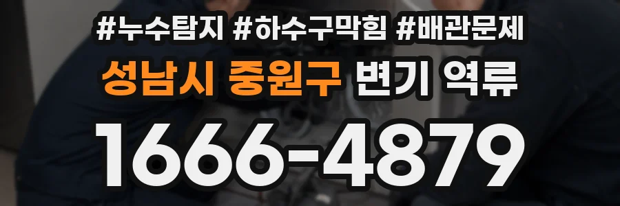 성남시 중원구 변기 역류