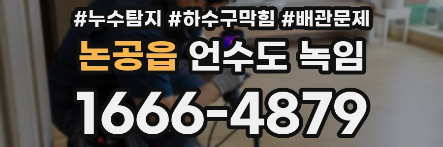 논공읍 언수도 녹임