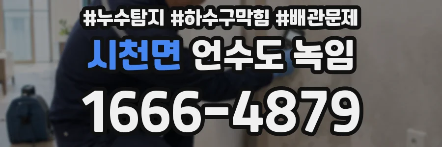 시천면 언수도 녹임