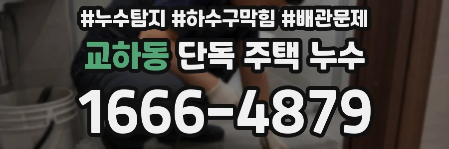 교하동 단독 주택 누수