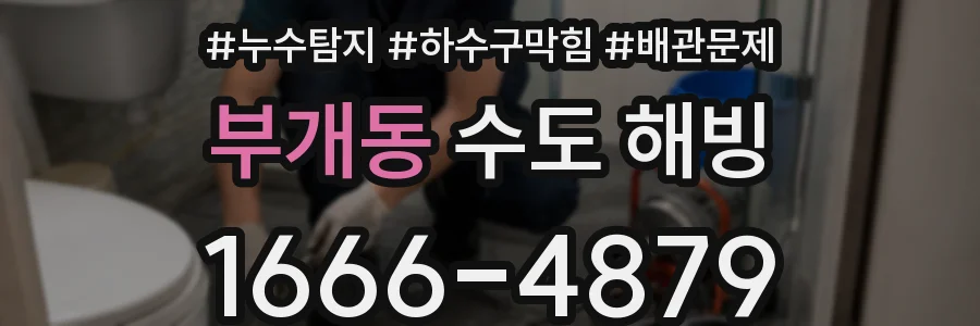 부개동 수도 해빙