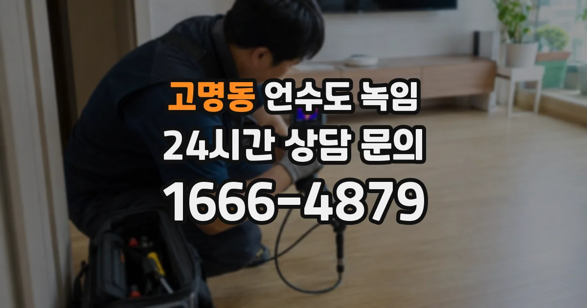 고명동 언수도 녹임