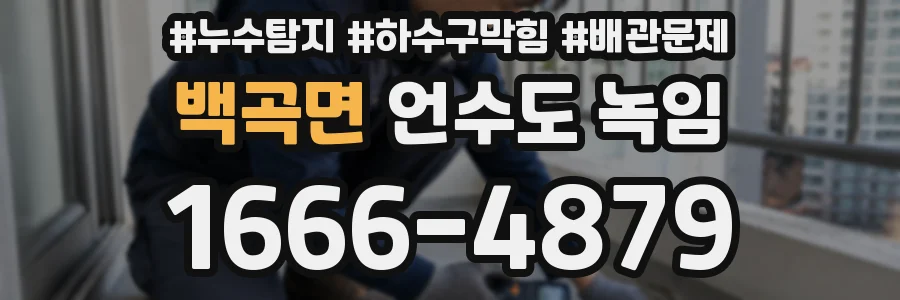 백곡면 언수도 녹임