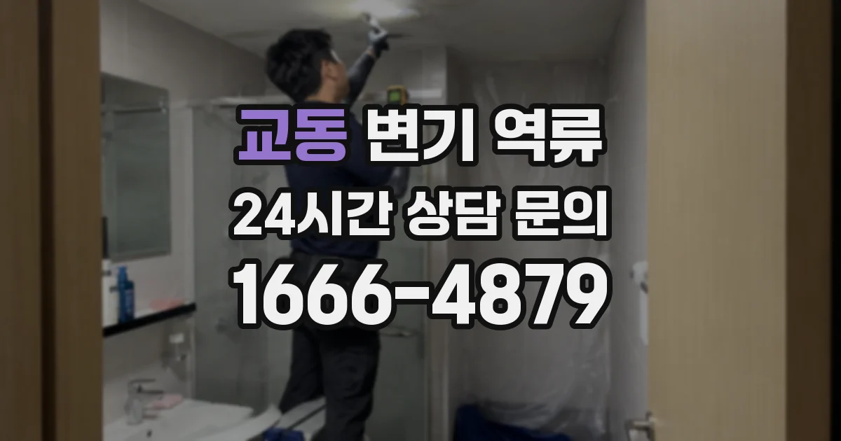 교동 변기 역류