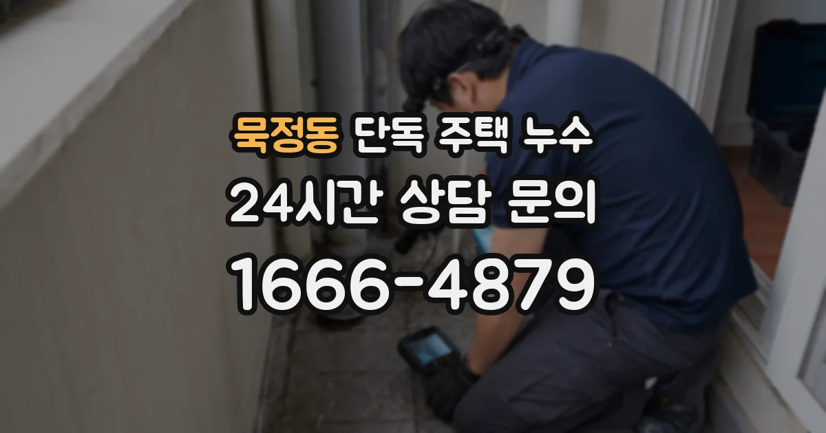 묵정동 단독 주택 누수