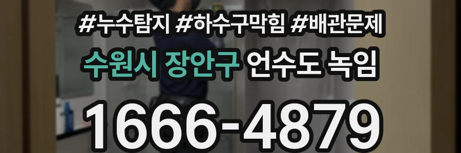 수원시 장안구 언수도 녹임