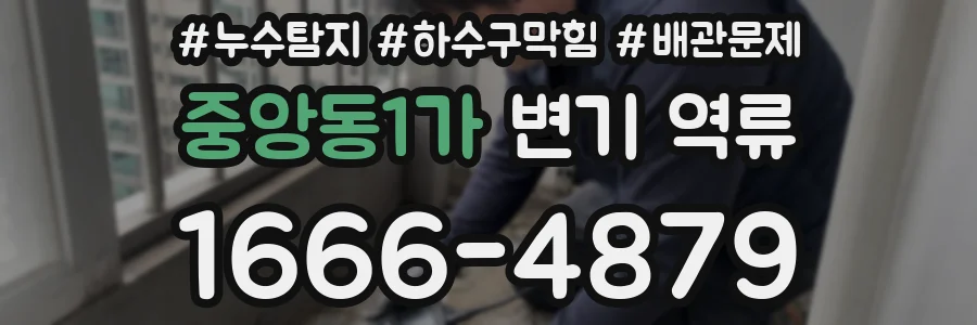 중앙동1가 변기 역류