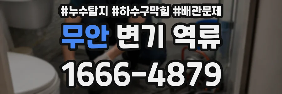 무안 변기 역류