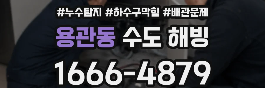 용관동 수도 해빙