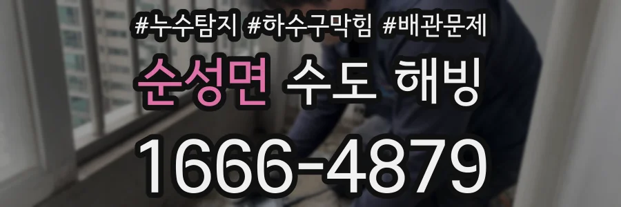 순성면 수도 해빙