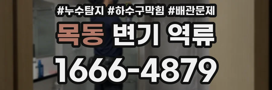 목동 변기 역류