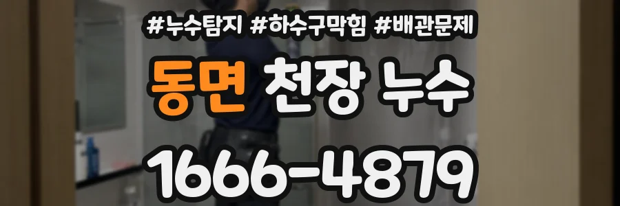 동면 천장 누수