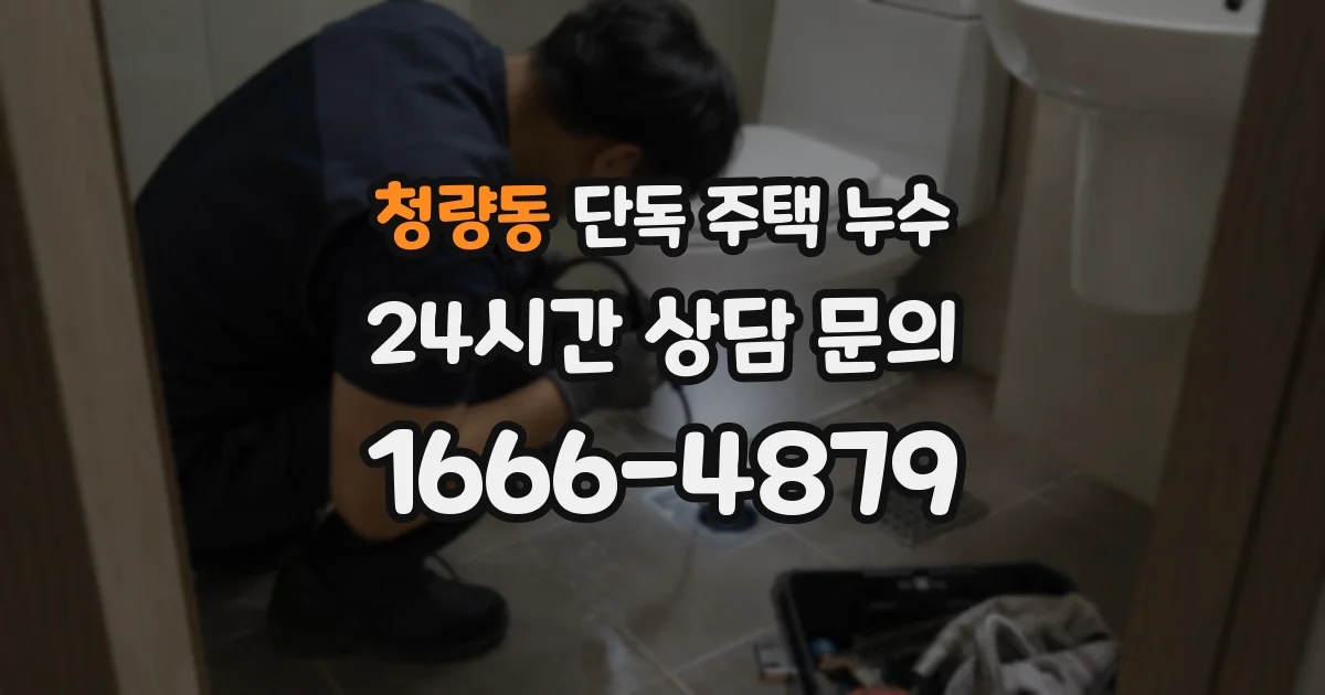 청량동 단독 주택 누수