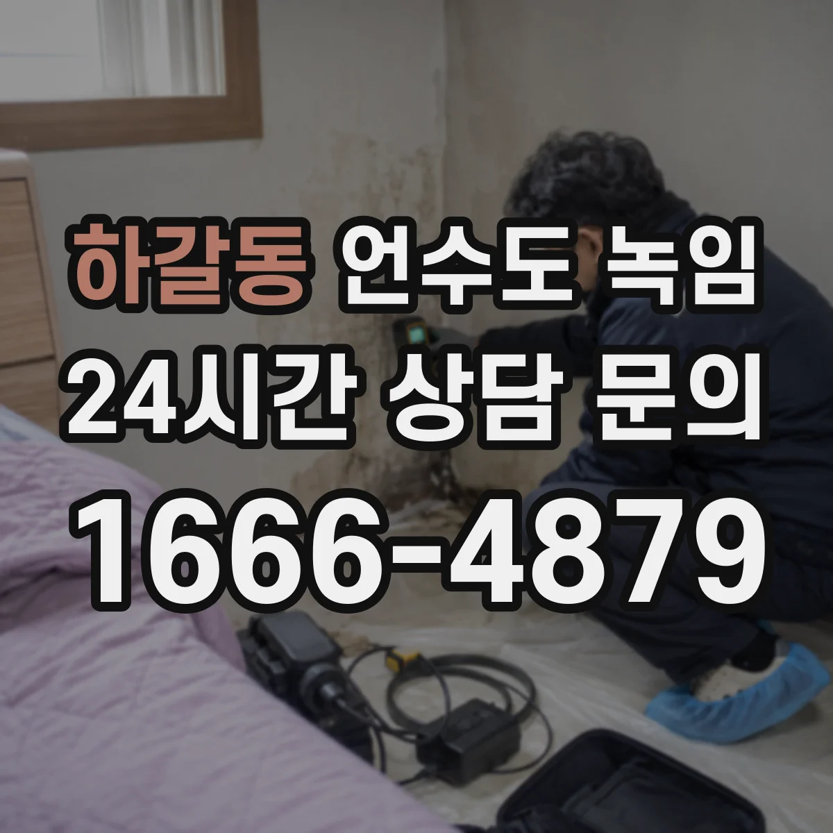 하갈동 언수도 녹임