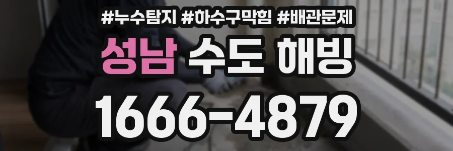 성남 수도 해빙