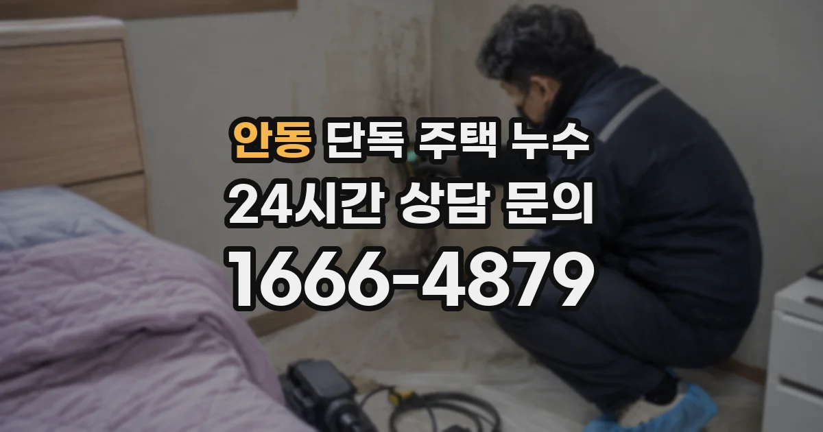 안동 단독 주택 누수