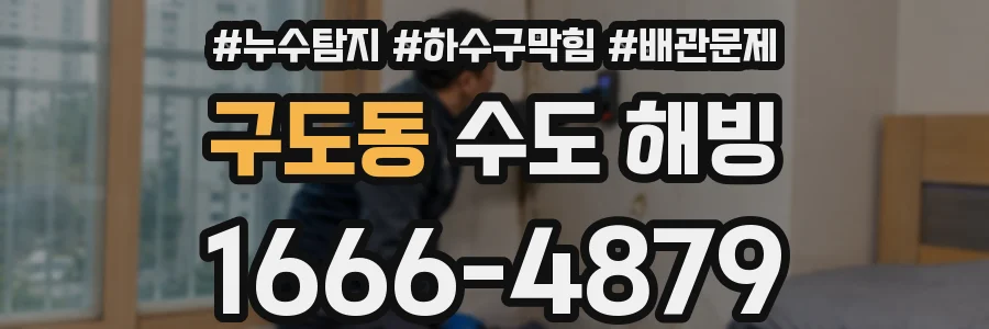 구도동 수도 해빙