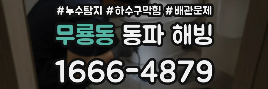 무룡동 동파 해빙