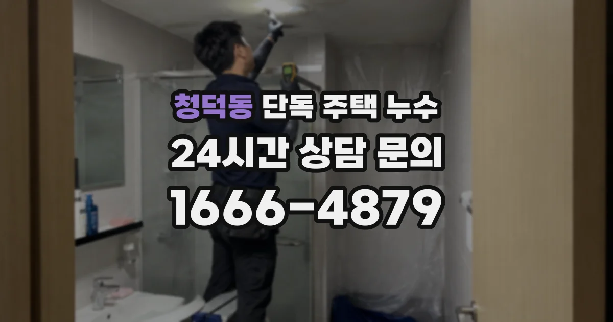 청덕동 단독 주택 누수