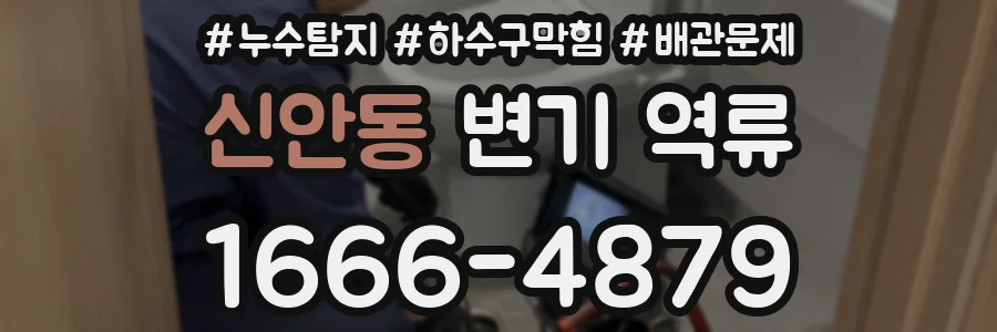 신안동 변기 역류