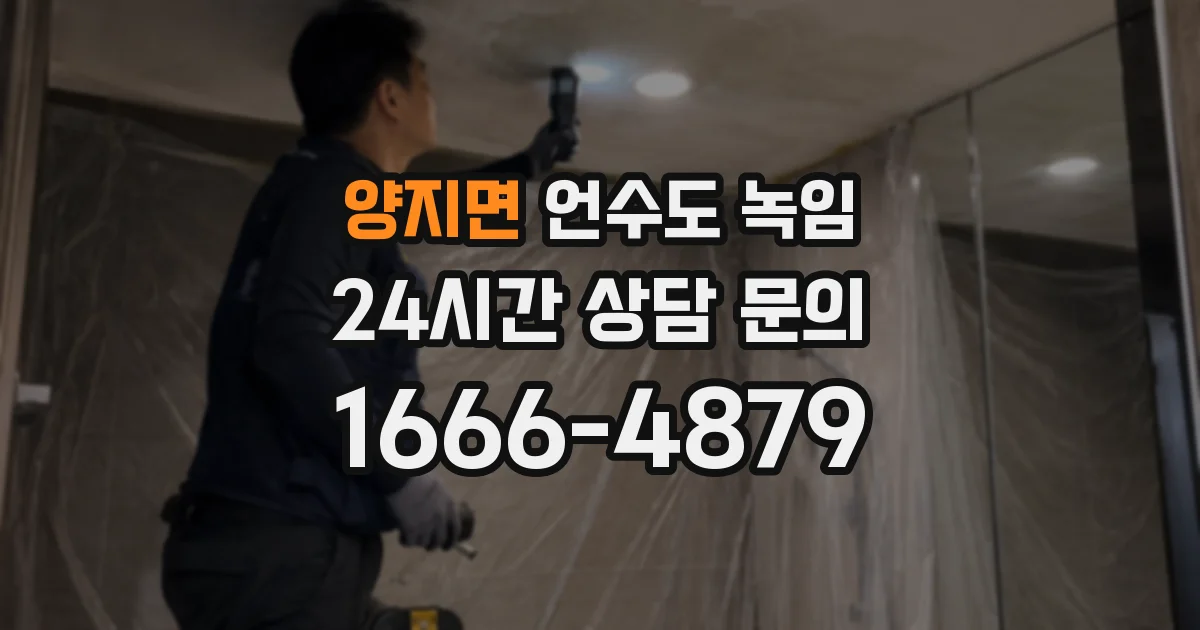양지면 언수도 녹임