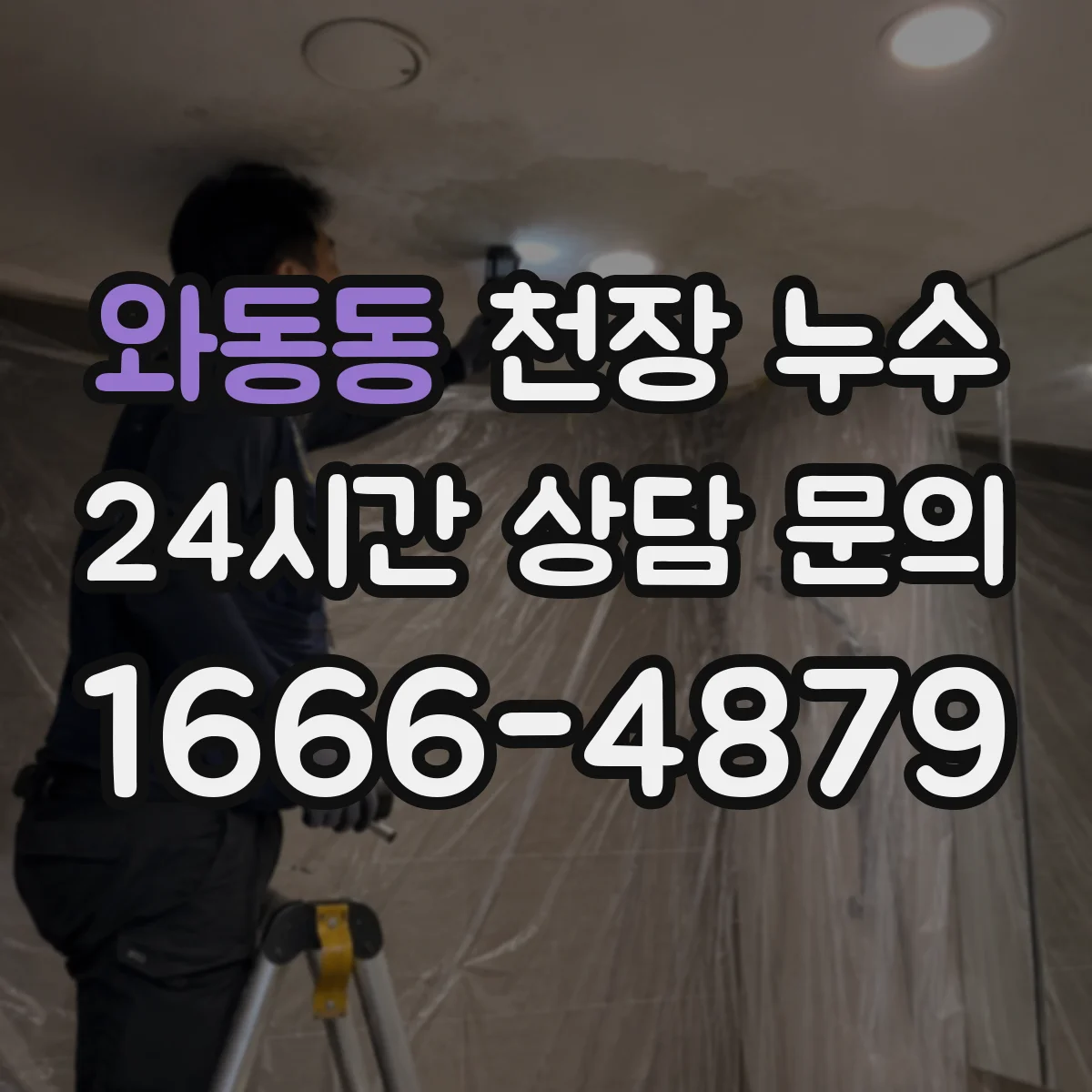 와동동 천장 누수