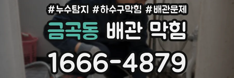 금곡동 배관 막힘