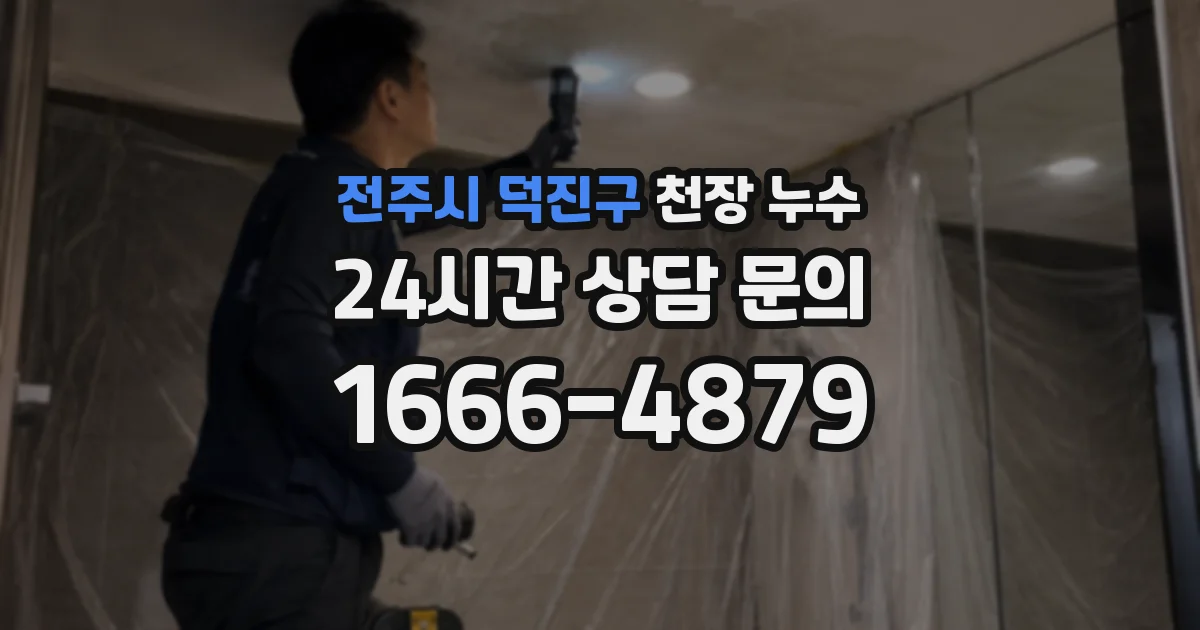 전주시 덕진구 천장 누수