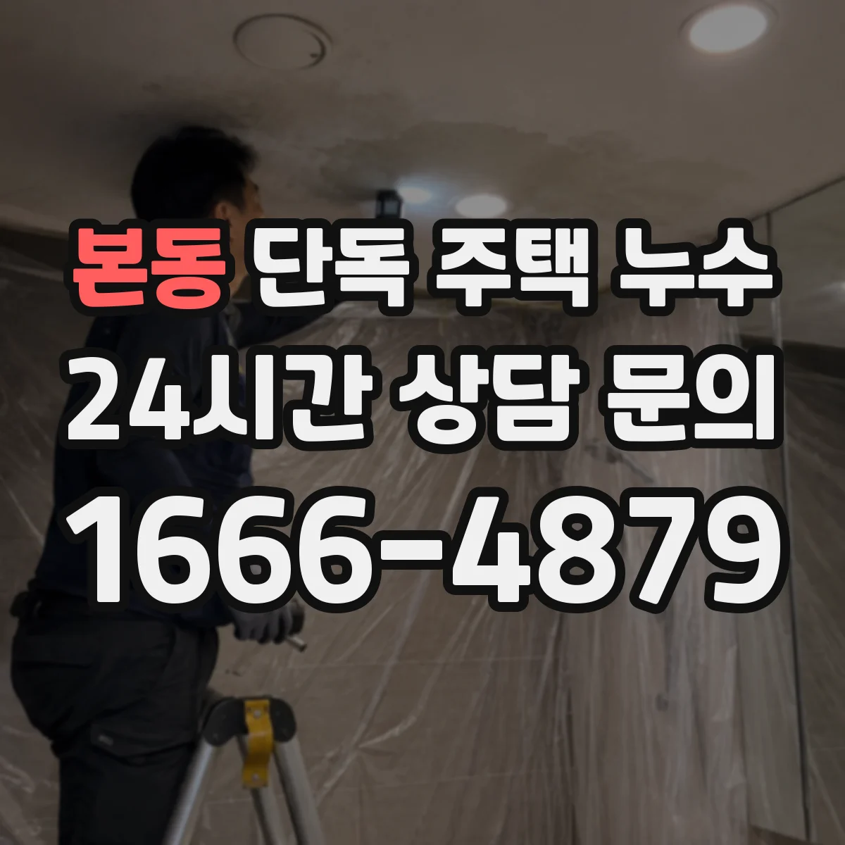 본동 단독 주택 누수