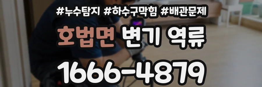 호법면 변기 역류