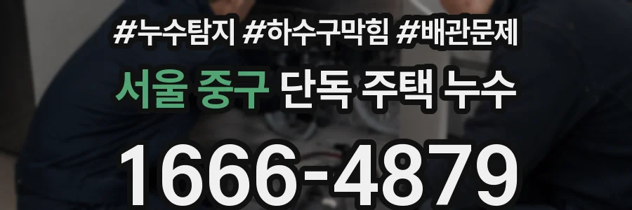 서울 중구 단독 주택 누수