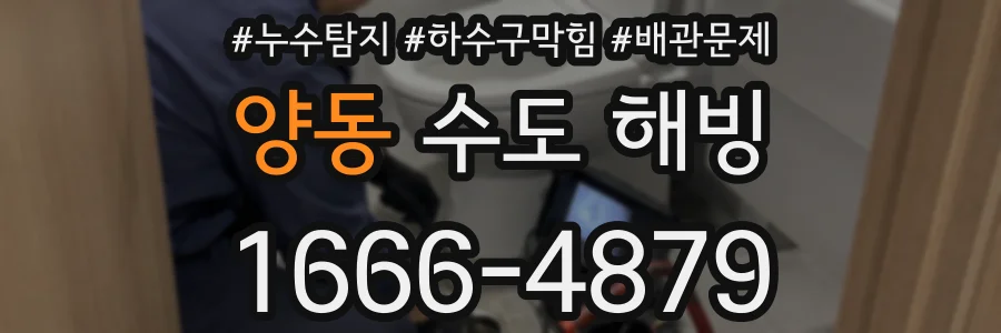 양동 수도 해빙