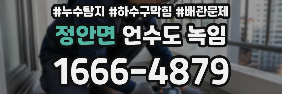 정안면 언수도 녹임