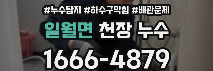 일월면 천장 누수
