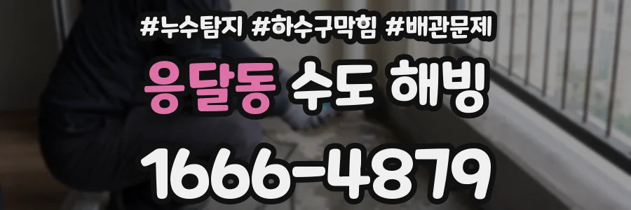 응달동 수도 해빙