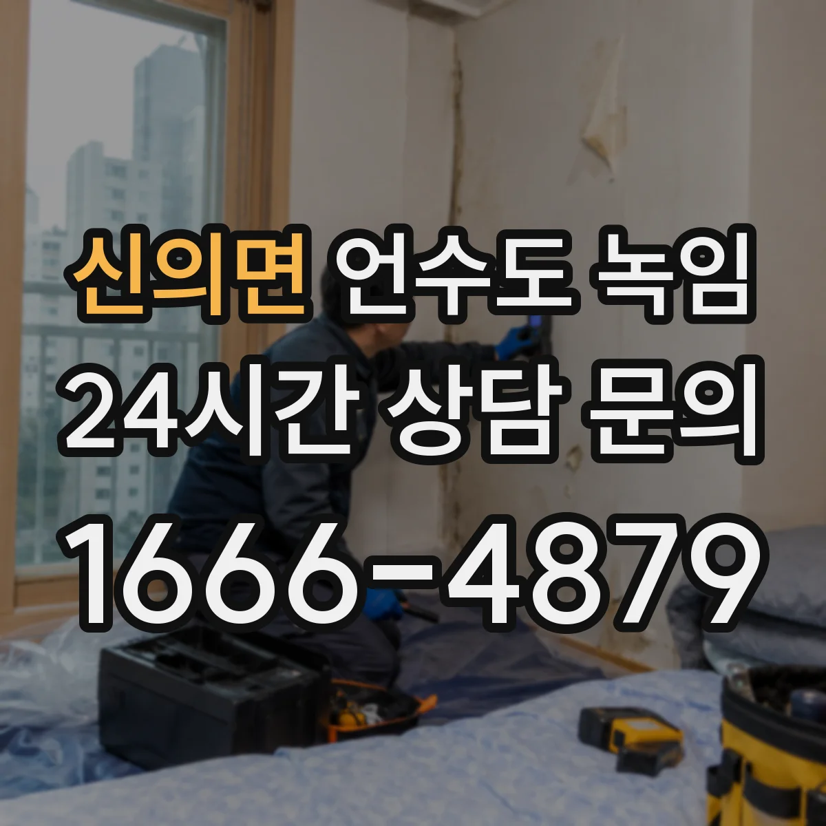 신의면 언수도 녹임