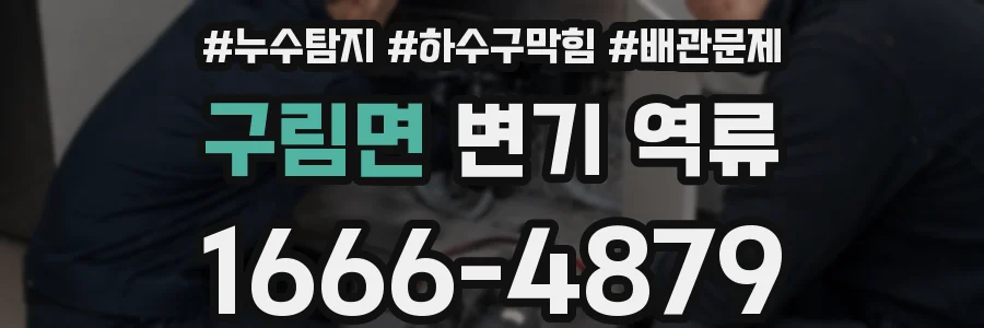 구림면 변기 역류