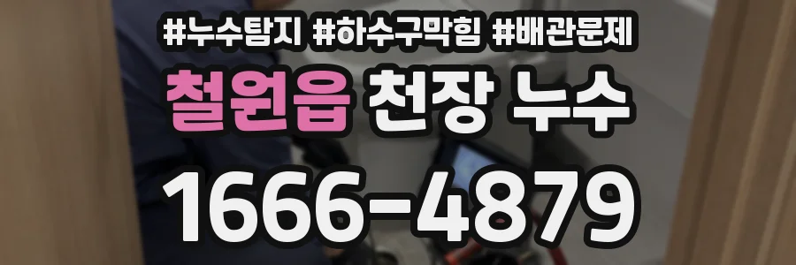 철원읍 천장 누수