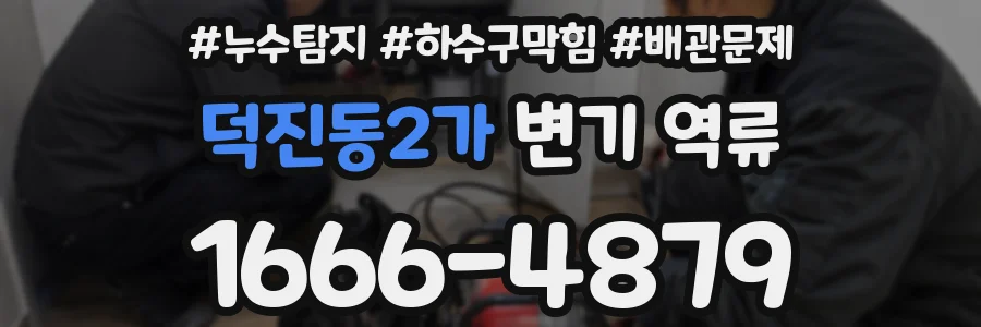 덕진동2가 변기 역류