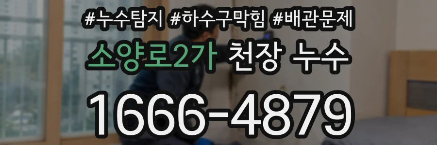 소양로2가 천장 누수